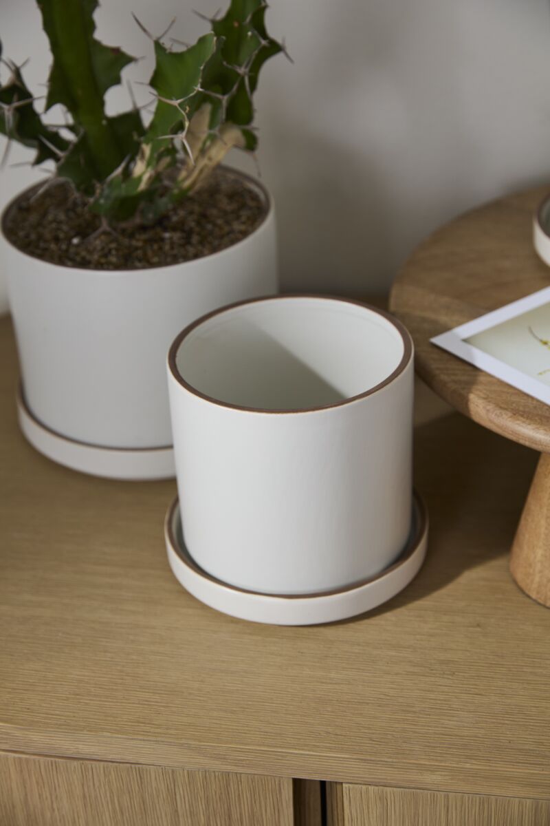 White ceramic Author pot with plant on a wooden surface ©Accent Decor