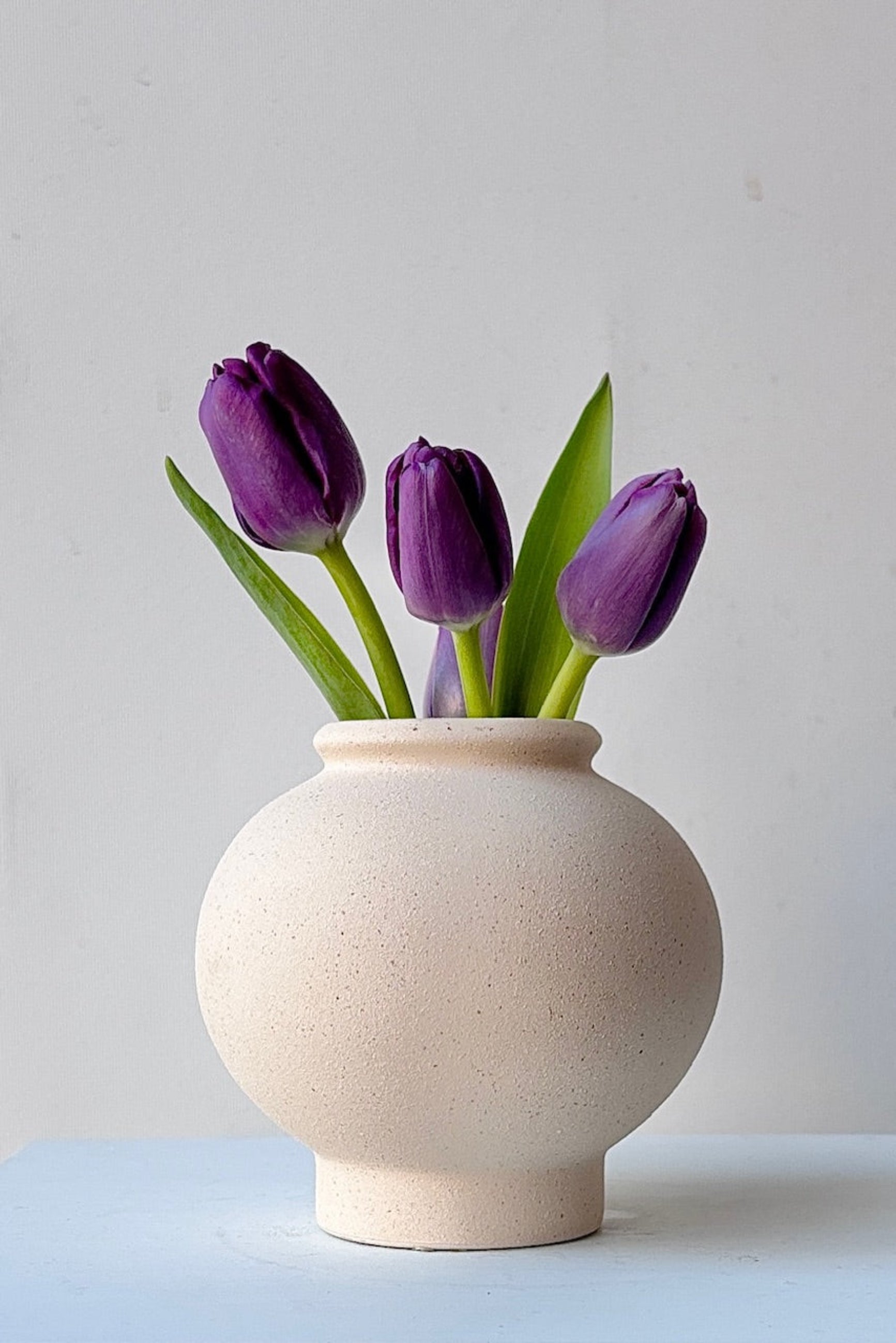 Close up of small beige Stockton ceramic vase with purple tulips on a marble surface ©Sprout Home