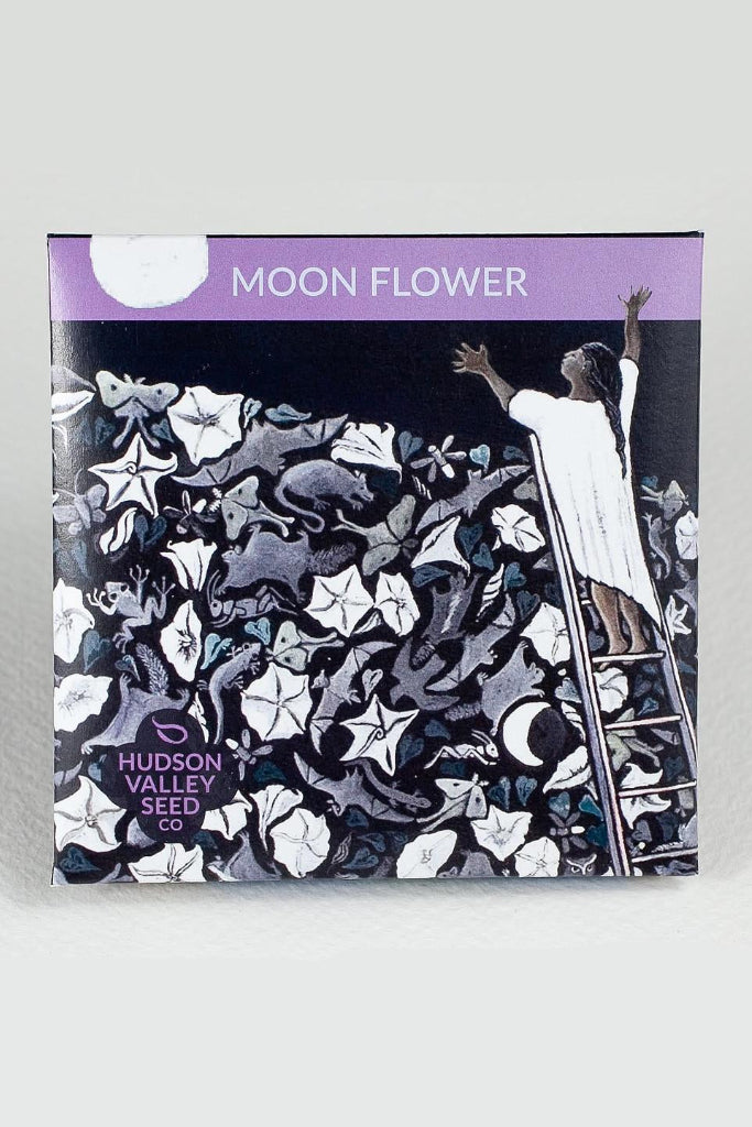 Seeds packet with 'Moon Flower' text and illustration of a person on a ladder with plants.  ©Hudson Valley Seed Co.