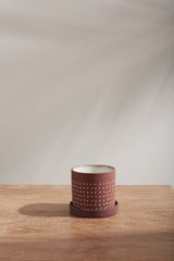 Small Salamanca pot sitting on wood table and a light grey wall. 