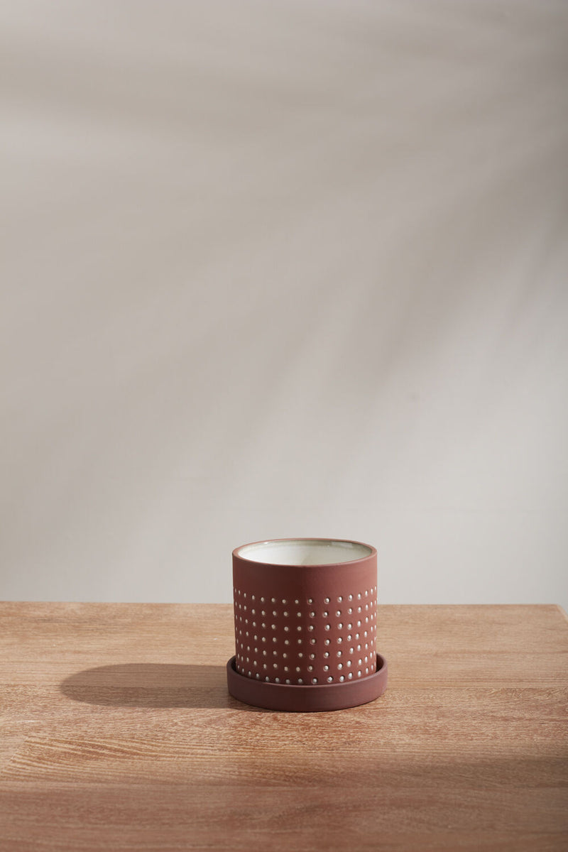 Small Salamanca pot sitting on wood table and a light grey wall. 