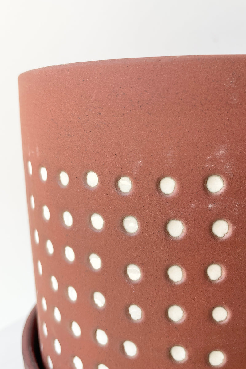 A detail of the Salamaca pot brown base with white dots.