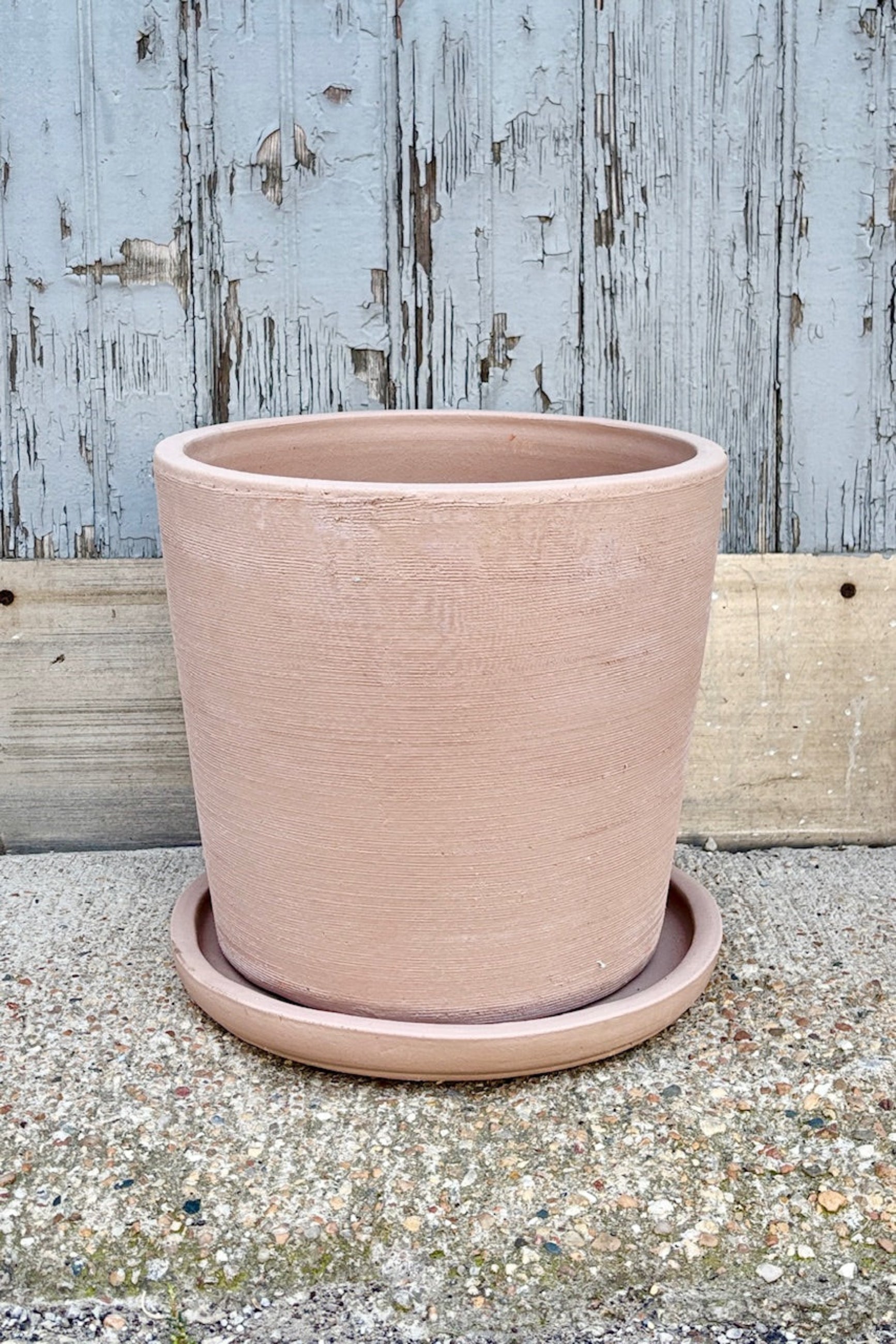 Large shell colored terracotta Maracay planter empty in front of a grey wall ©Sprout Home
