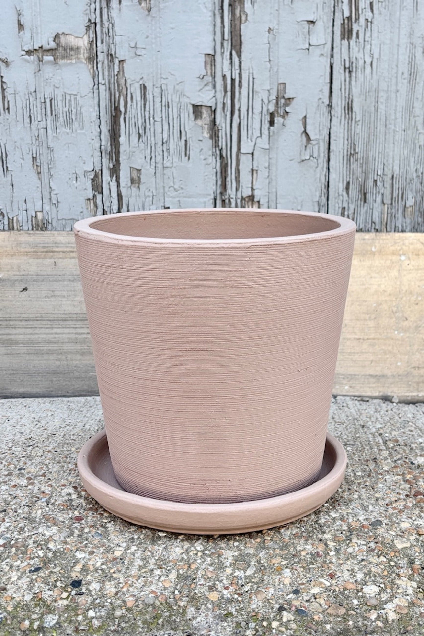 Medium sized Maracay planter in a shell finish against a grey wall ©Sprout Home 