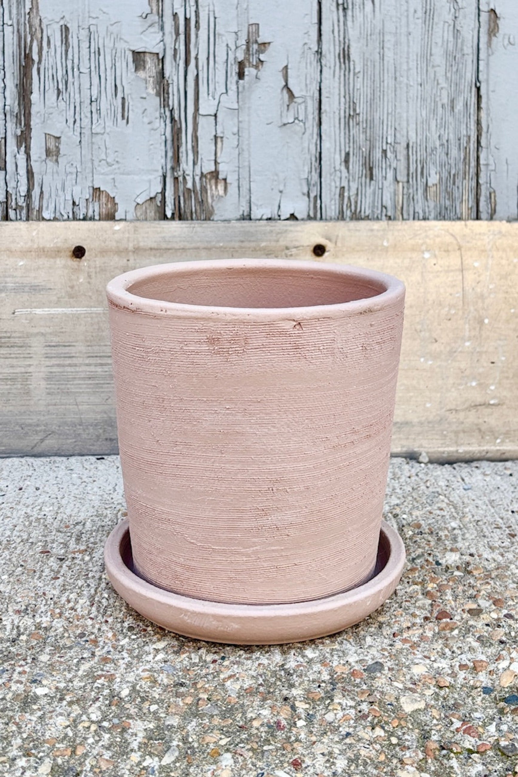Maracay planter small in shell color against a grey wall ©SproutHome