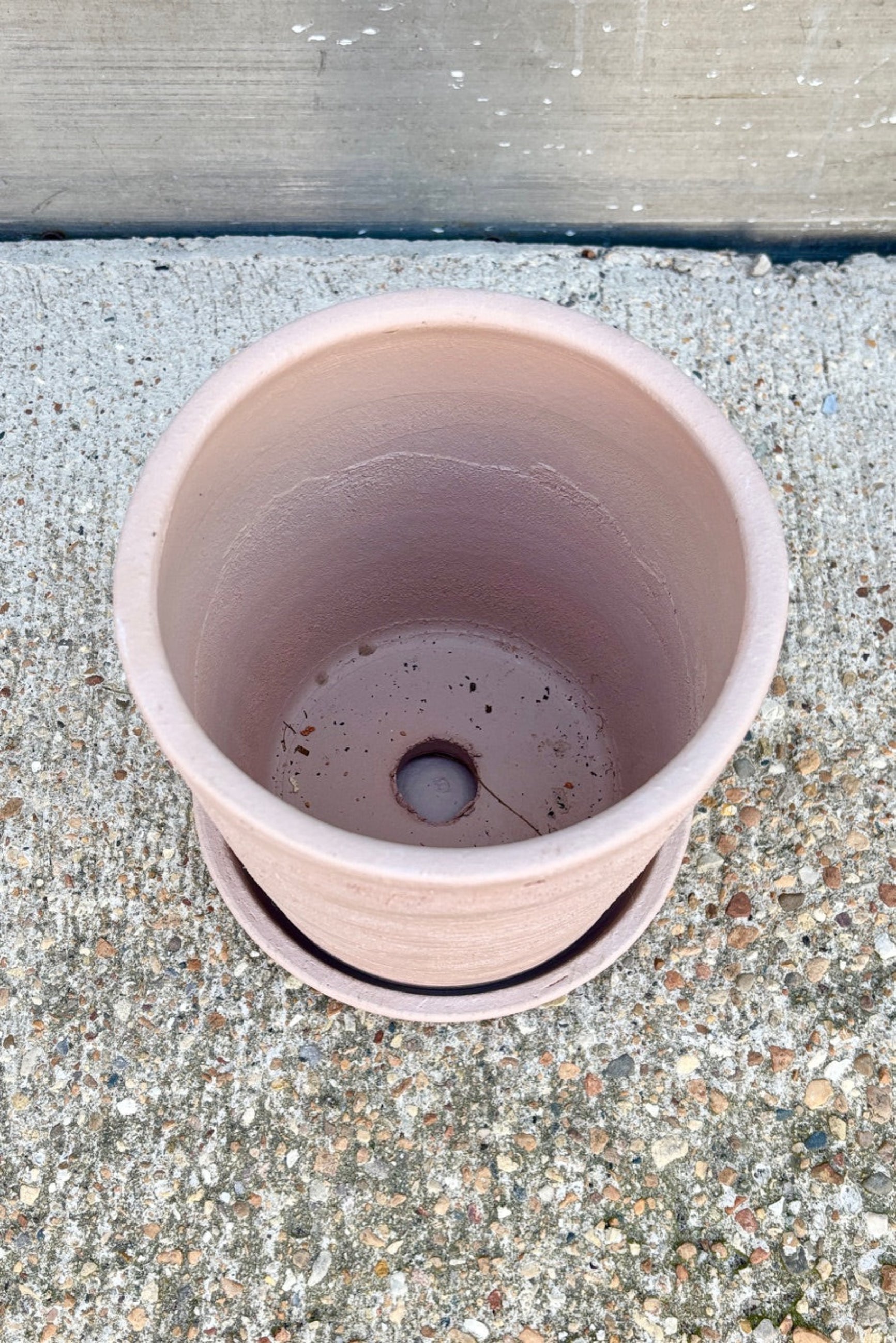 Interior of Maracay planter small in shell color against a grey wall ©SproutHome