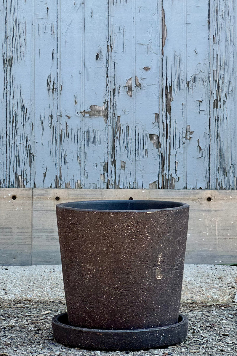 The small Maracay planter in a Carob finish shown from the side against a wood wall empty.