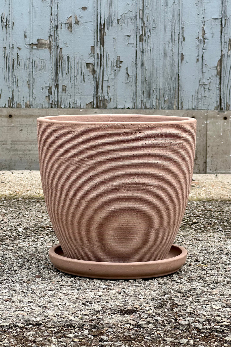 The large Lara Shell colored planter shown from the side at eye level. 