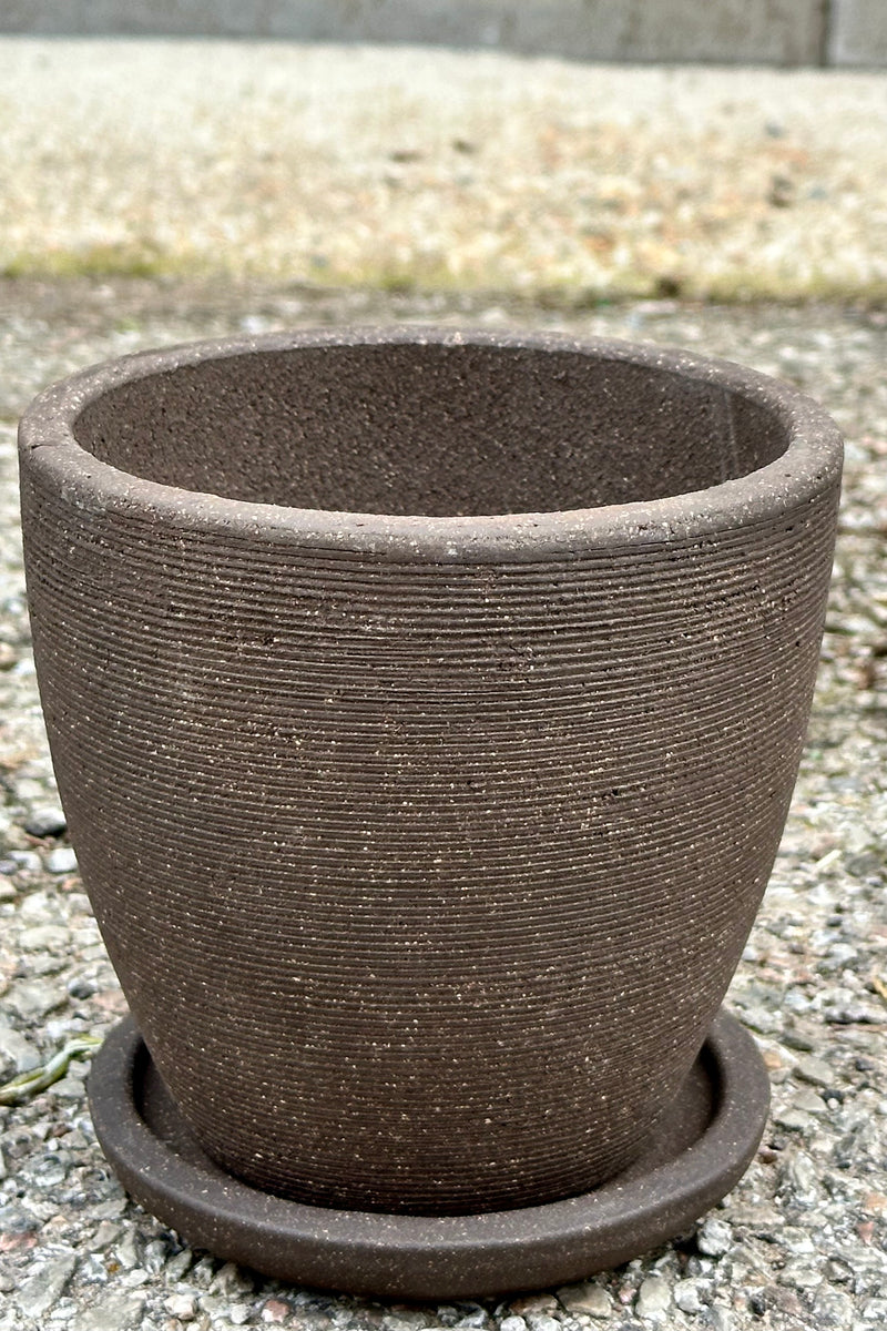 Small Lara carob planter showing the detail ridges etched on the side.