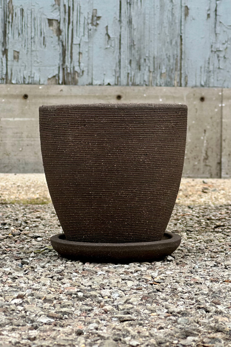 The Lara small carob planter and saucer sitting on concrete empty