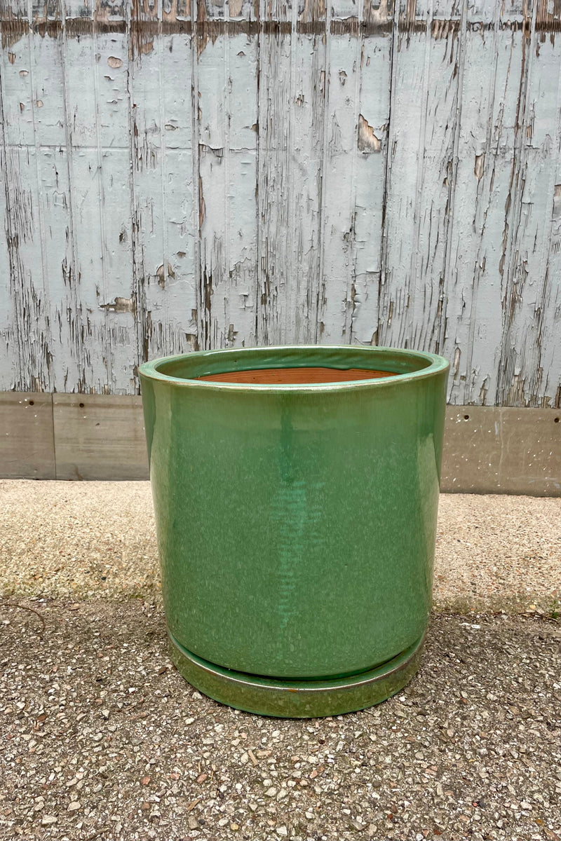 The Sea Green I/O Planter Large looking from the side at Sprout Home. The cylindrical planter sits atop a fitted saucer and is shown against a gray wall on a cement floor. The glaze is semi gloss.