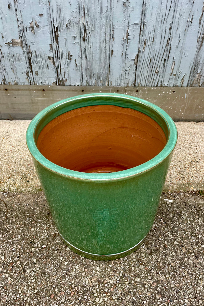 View from above. The Sea Green I/O Planter Large looking from the side at Sprout Home. The cylindrical planter sits atop a fitted saucer and is shown against a gray wall on a cement floor. The glaze is semi gloss.