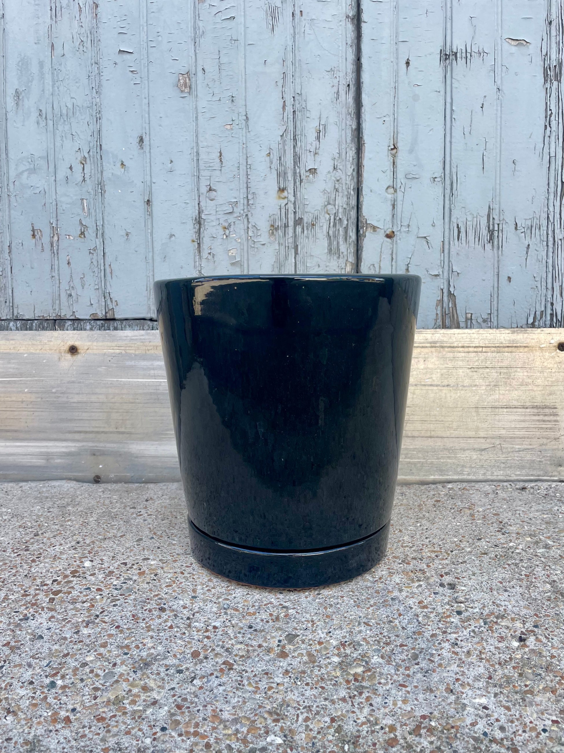 Photo of a glossy black cylinder planter in front of a textured wall ©Sprout Home