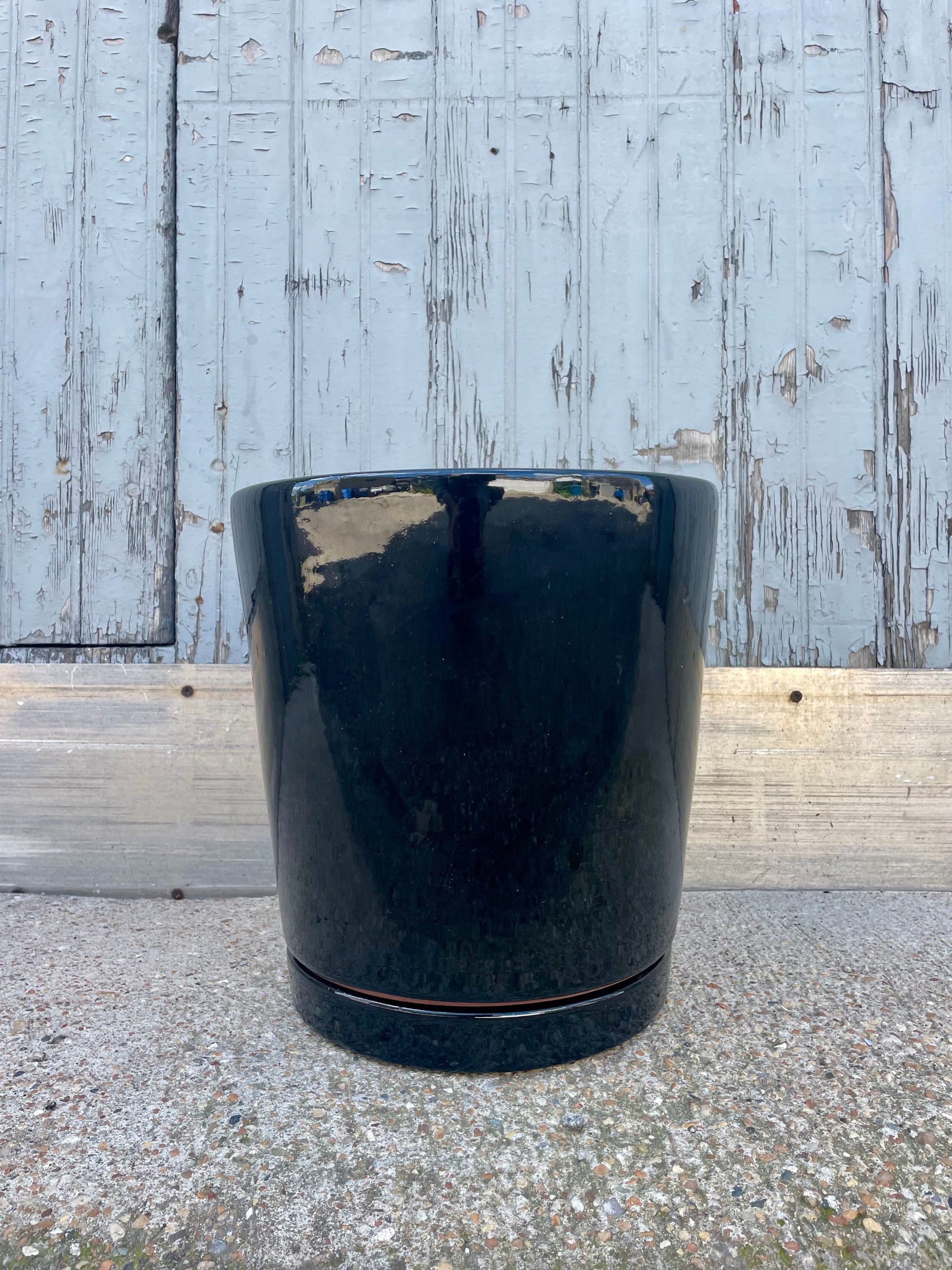 Photo of a glossy black cylinder planter in front of a textured wall ©Sprout Home