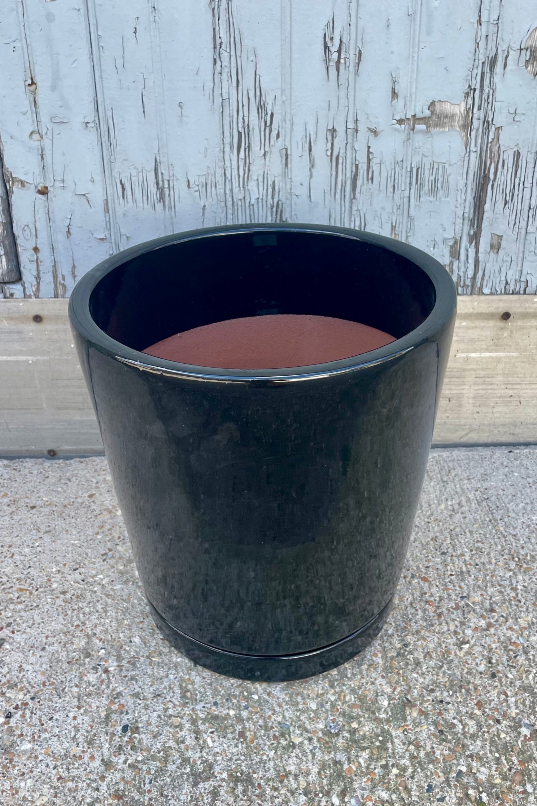 Photo of a glossy black cylinder planter in front of a textured wall ©Sprout Home