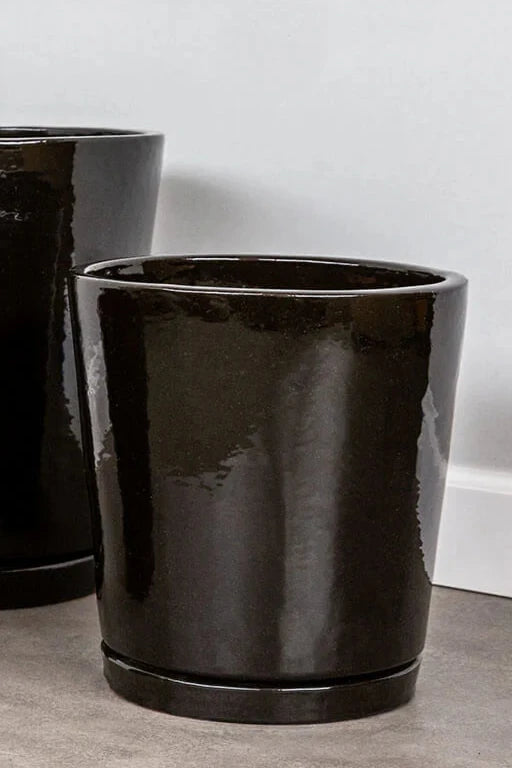 Medium Cola glazed I/O tapered planter on a concrete floor and white wall behind.