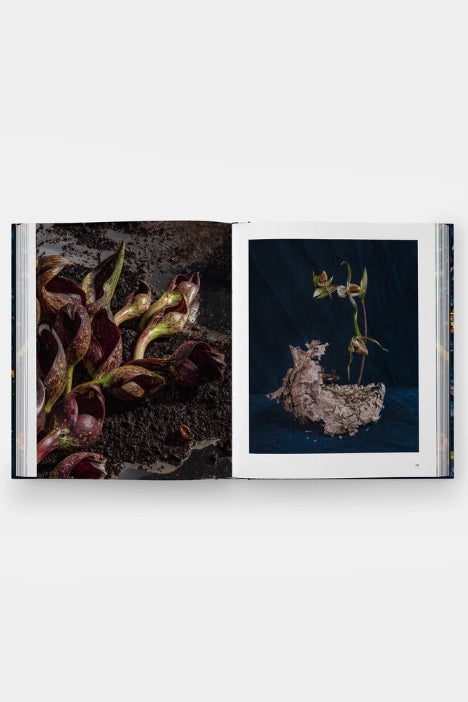 Open Emily Thompson Flowers book showing two pages with close-up images of plants and natural elements. ©Phaidon