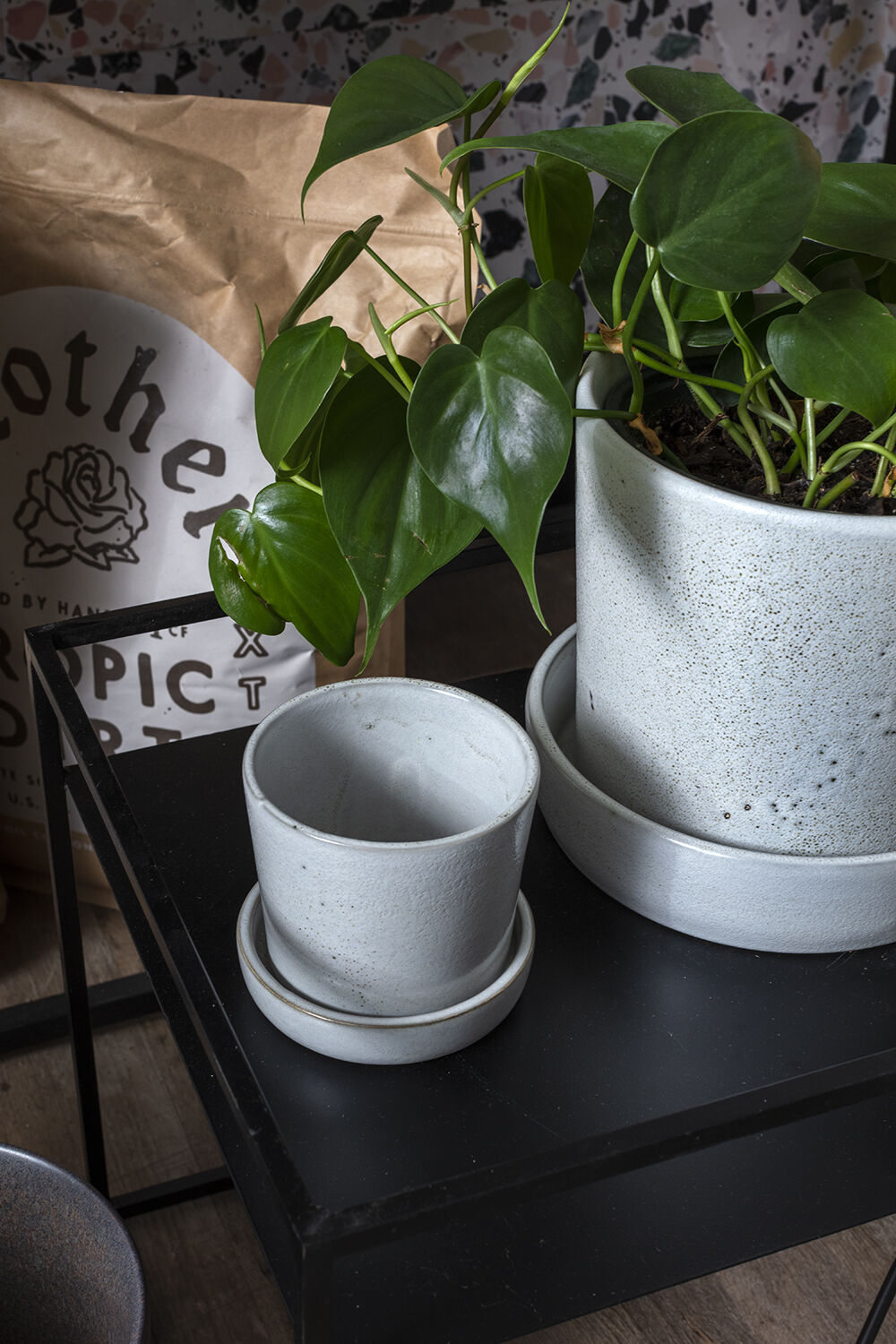 empty White Watson pot and a larger one filled with a philodendron on a black stand and a paper bag in the back ©Accent Decor
