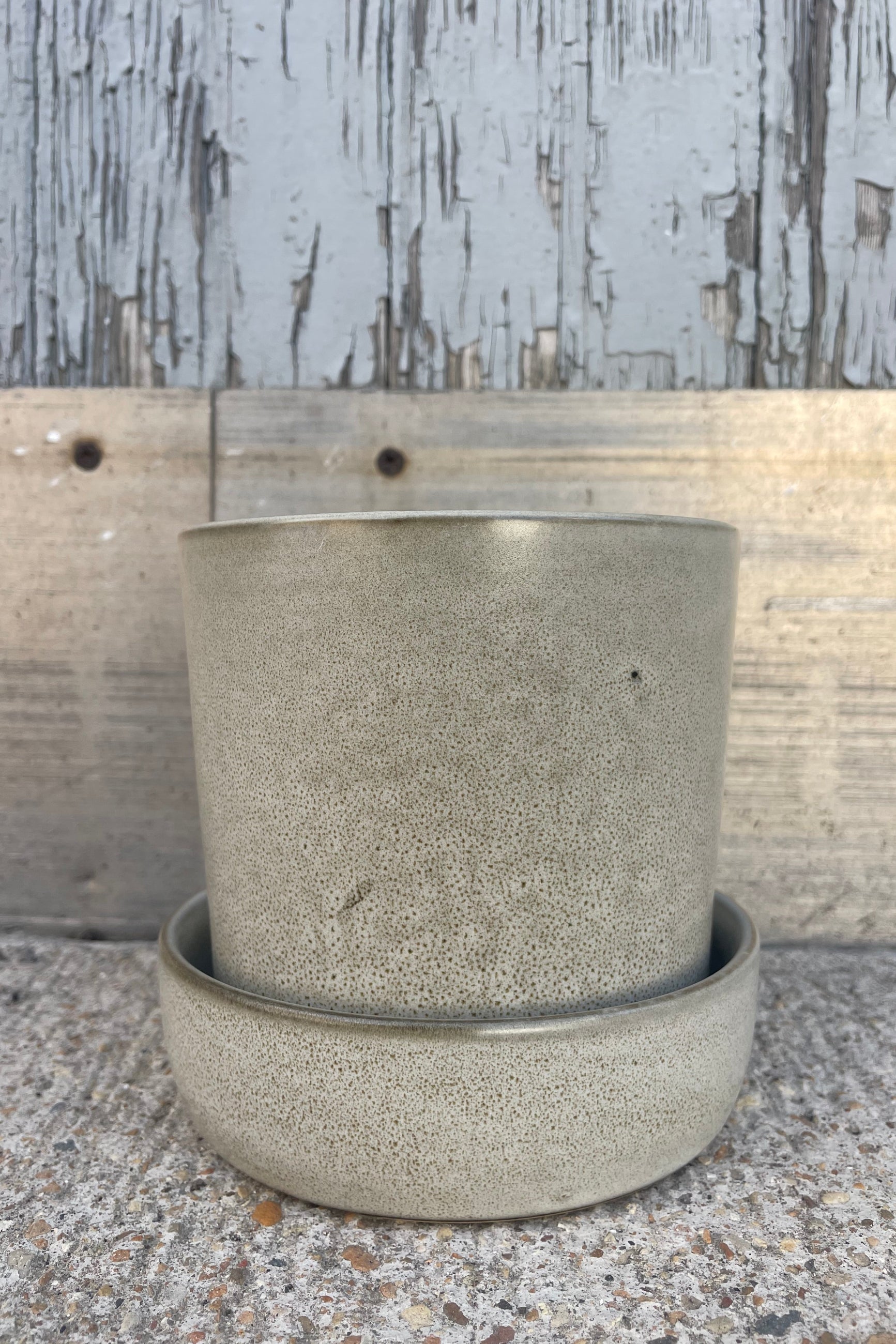 Photo of White Watson Pot and saucer in front of a wooden wall ©Sprout Home