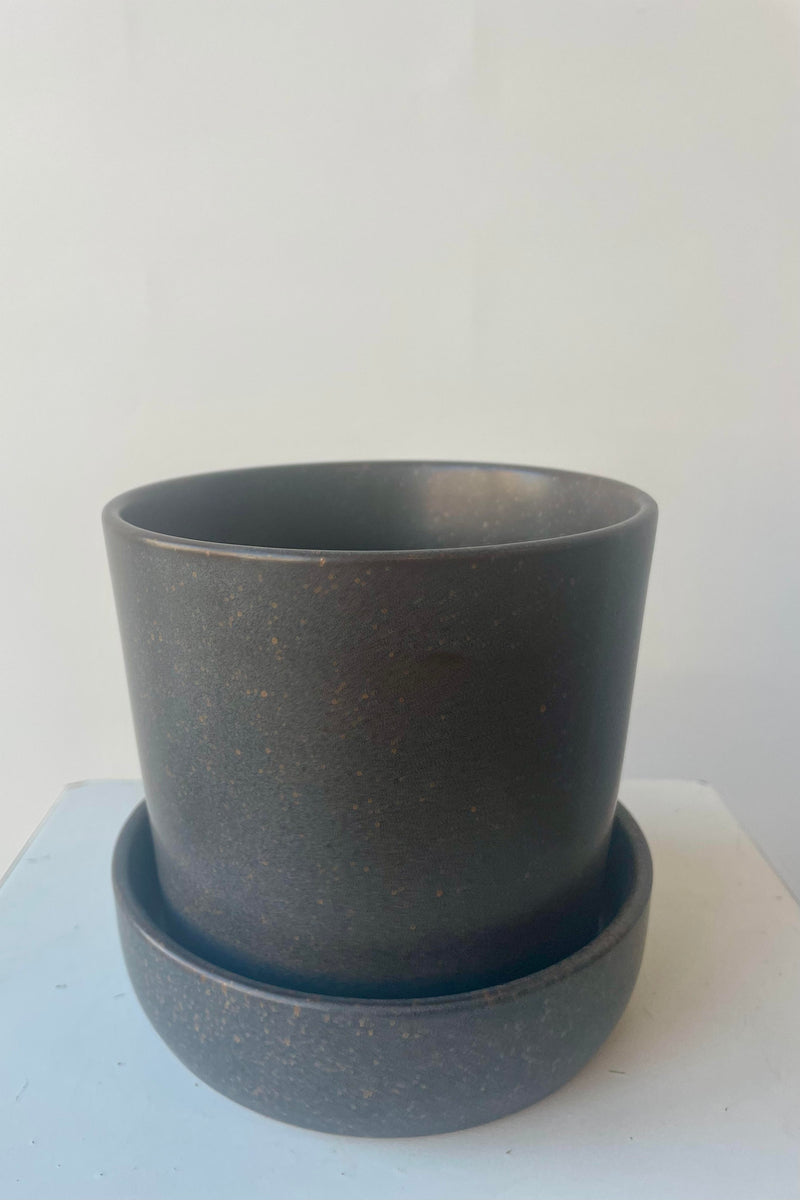 Photo from aboe of a Watson Pot and Saucer. The pot has a soft black semi-gloss glaze with small flecks of clay showing through. It since in a deep saucer and is shown in a white room on a white table.