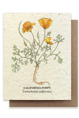 The California Poppy Card showing the front of the card with the yellow flower graphic and name.