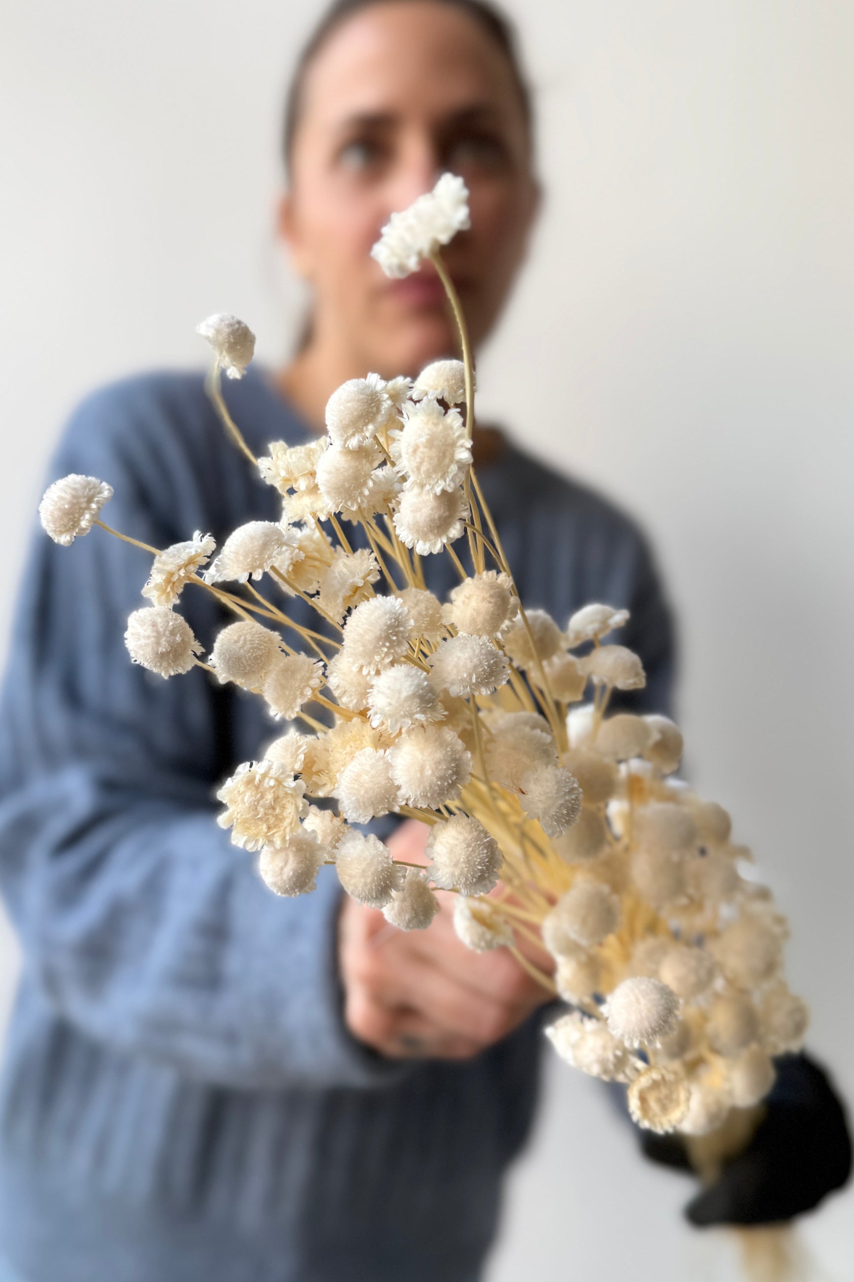 Person holding Margaret Bleached Pastel Preserved flowers Bunch against a plain background ©Sprout Home