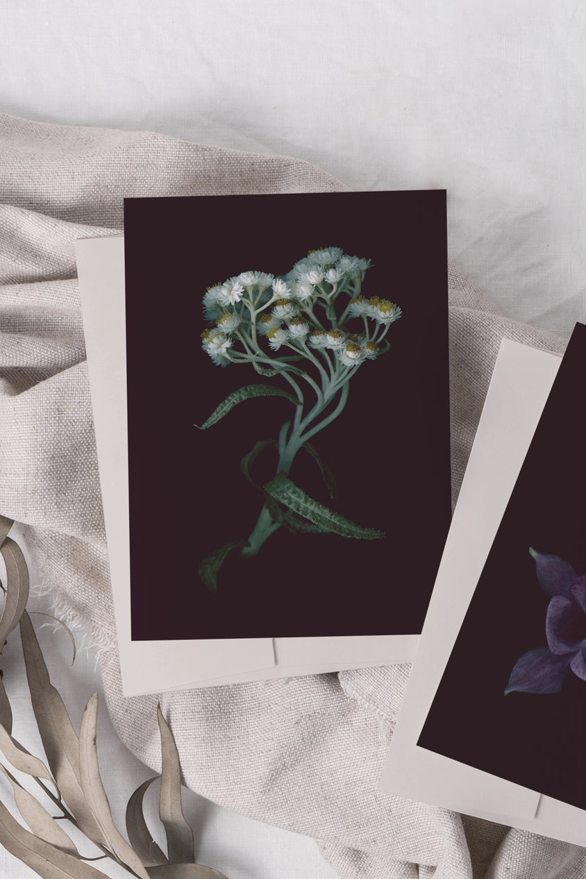 Everlasting card floral prints on a textured surface with a cup of coffee.©Raoul & Simone