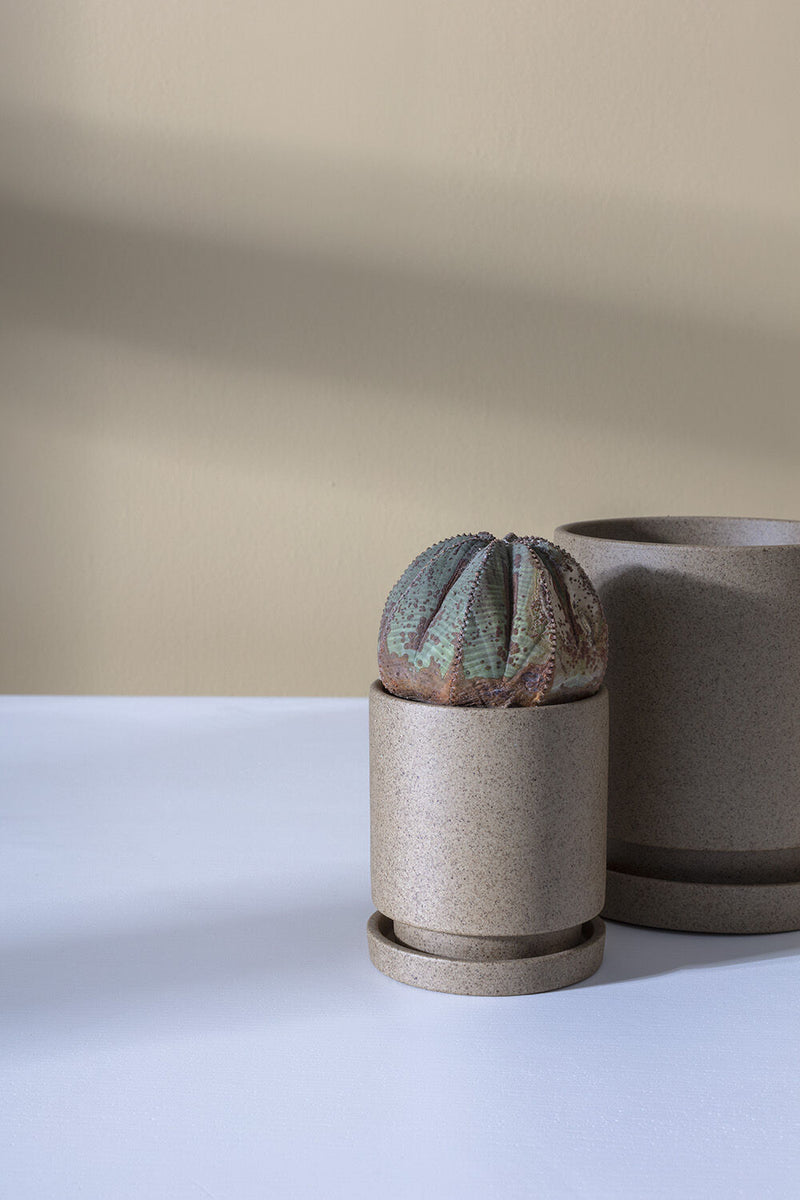 Tan Imogen pot planted with a succulent and in front of a larger Imogen empty pot on a white table and tan background