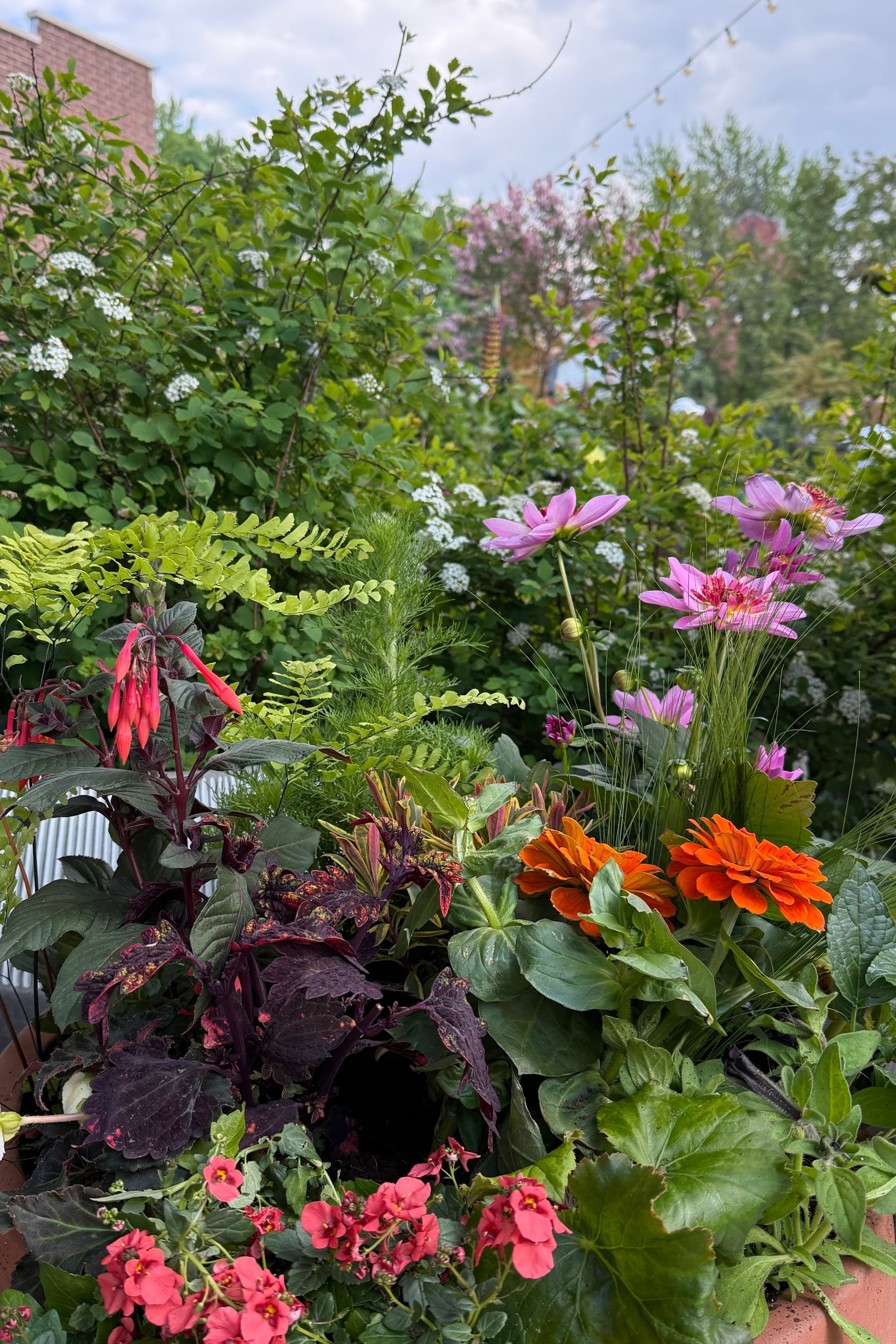 Outdoor annuals at SProut Home in the spring ©Sprout Home