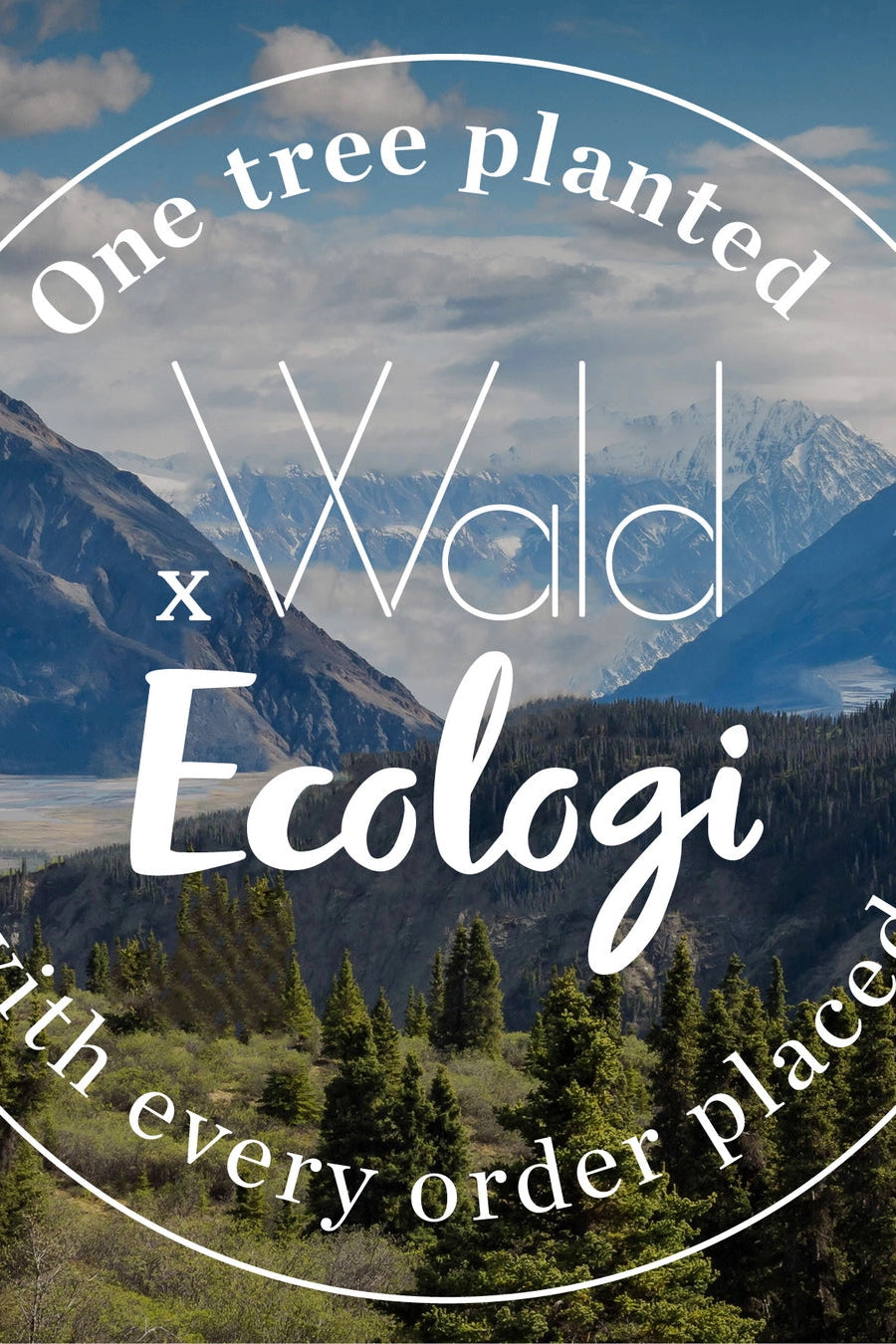 Mountain landscape with trees and 'Wald Ecologi' branding from Studio Wald and text about tree planting. ©Studio Wald