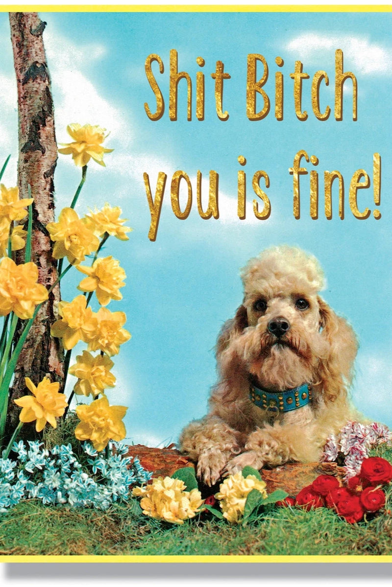 The front of the Shit Bitch you is fine! Card by Smitten Kitten