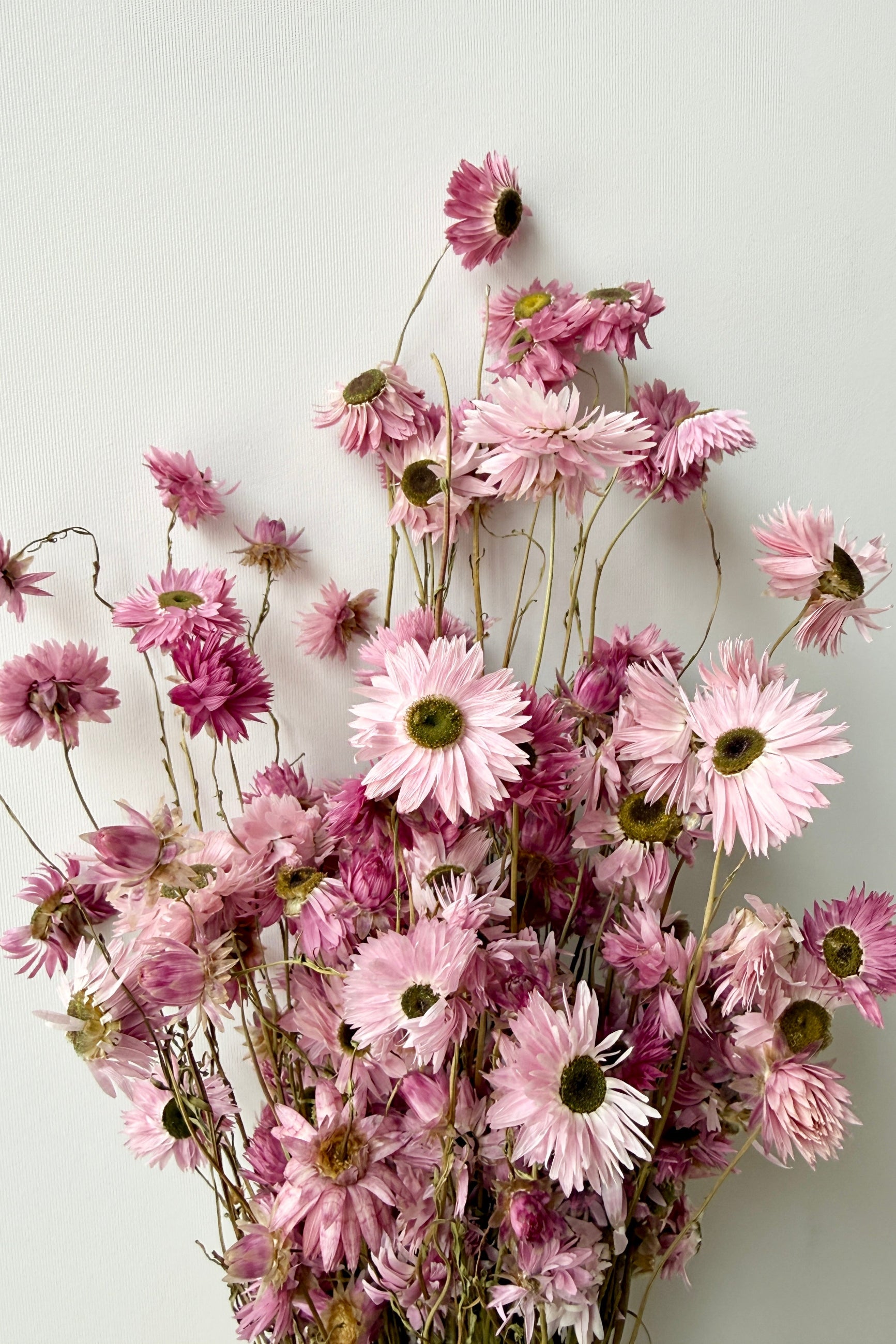 Bouquet of pink and white flowers on a light gray background ©Sprout Home