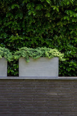 Pottery Pots Jort grey planter potted with evergreens and sitting on a brick wall. 