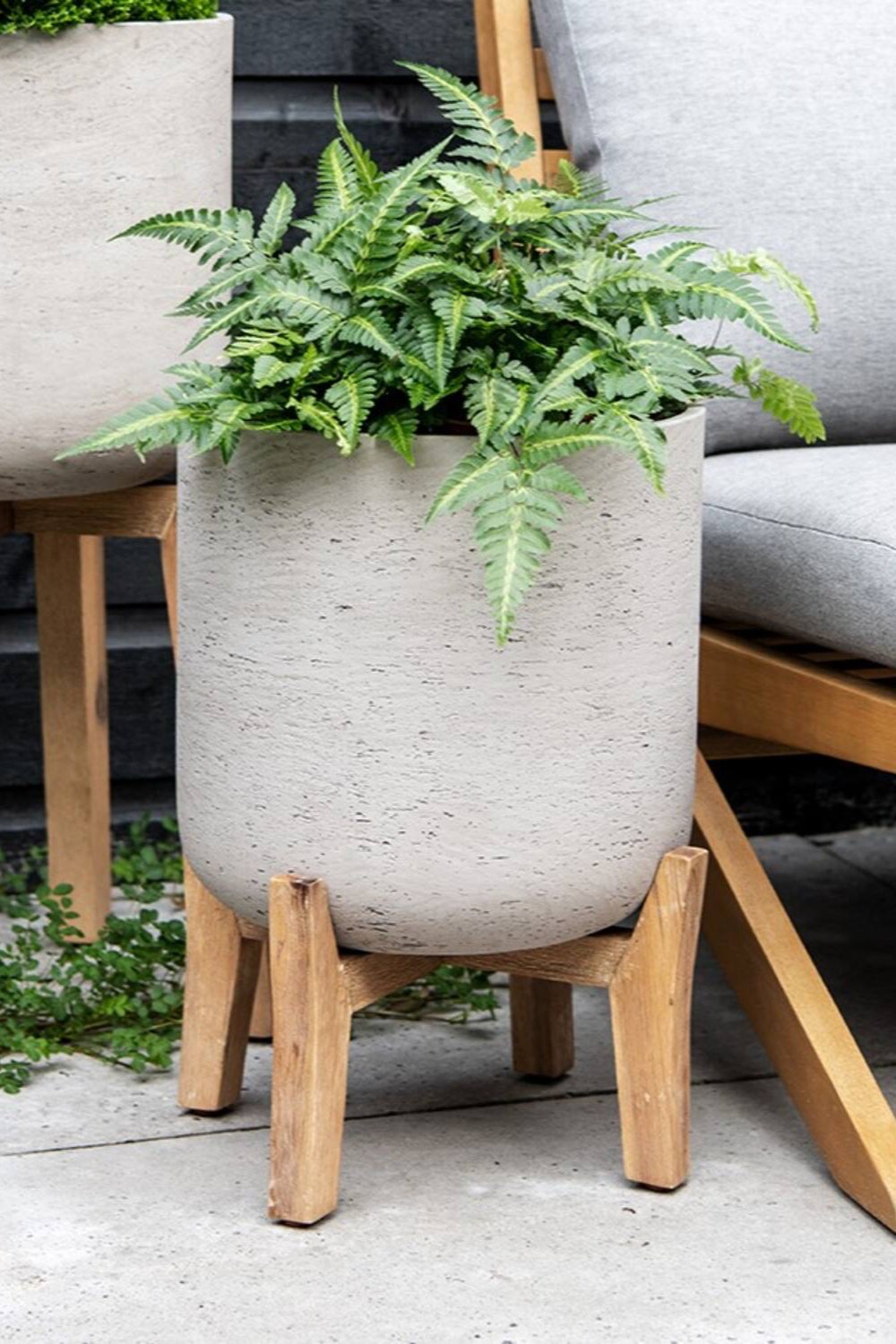 Pottery Pots Charlie washed gray pot on low stand  potted with a fern in a lifestyle shot