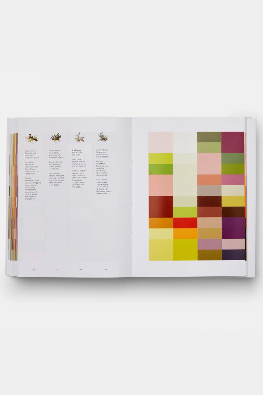 Open Flower Color Theory  book with color swatch and text on a white background ©Phaidon