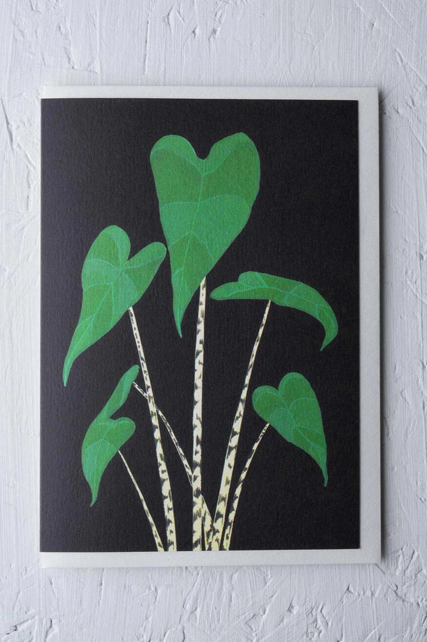 Alocasia Zebrina card by Stengun Drawings shown from the front against white. 