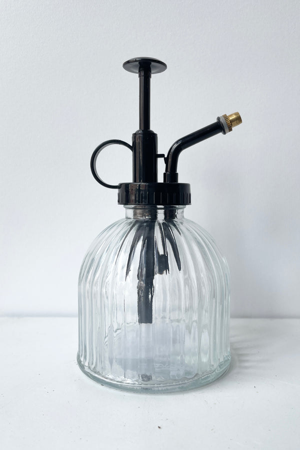 Plant mister with a glass bottom and a black top against a white wall. 