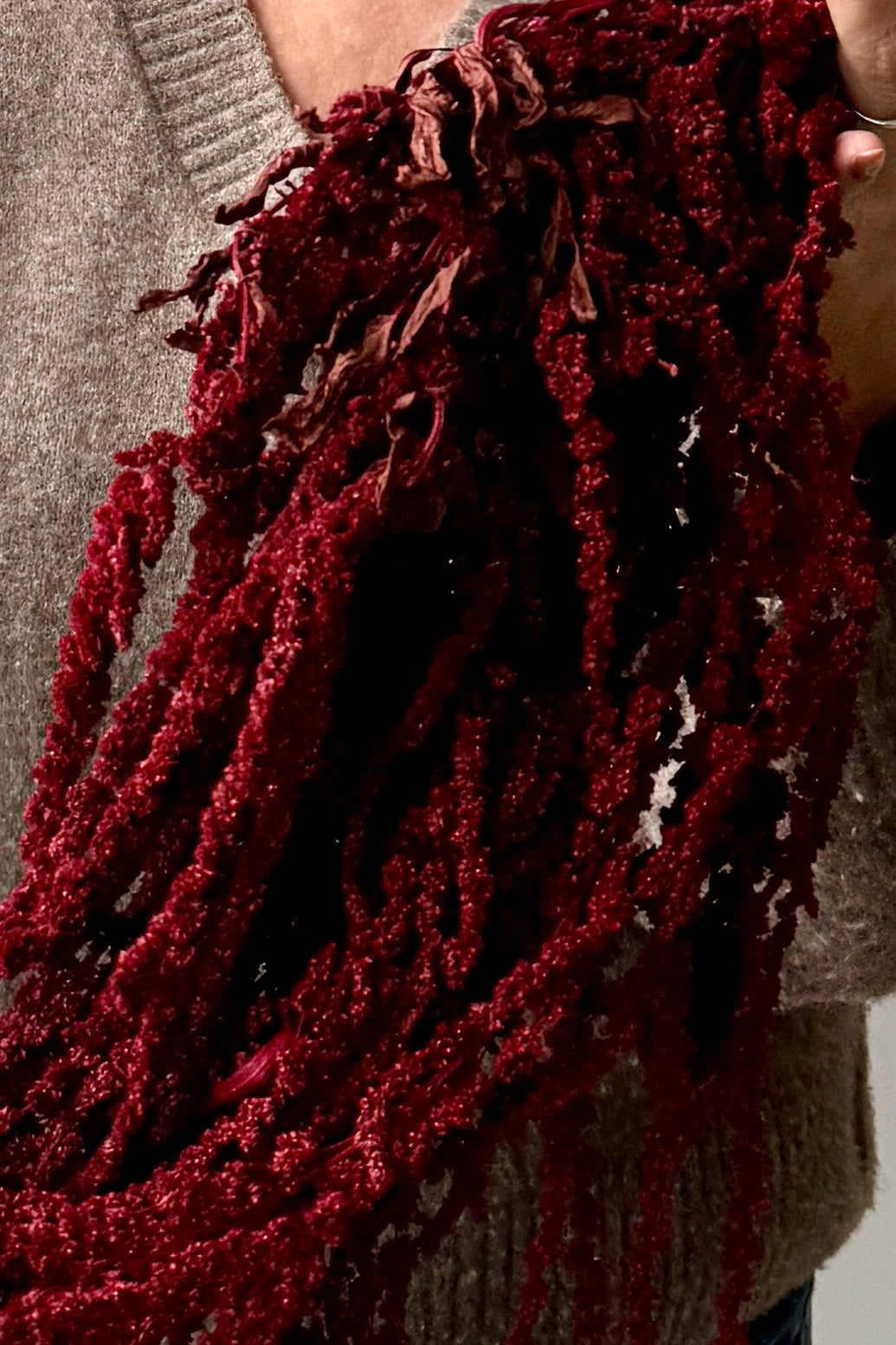 Close-up of a textured red preserved Amaranthus bunch held by a person wearing a gray sweater ©Sprout Home