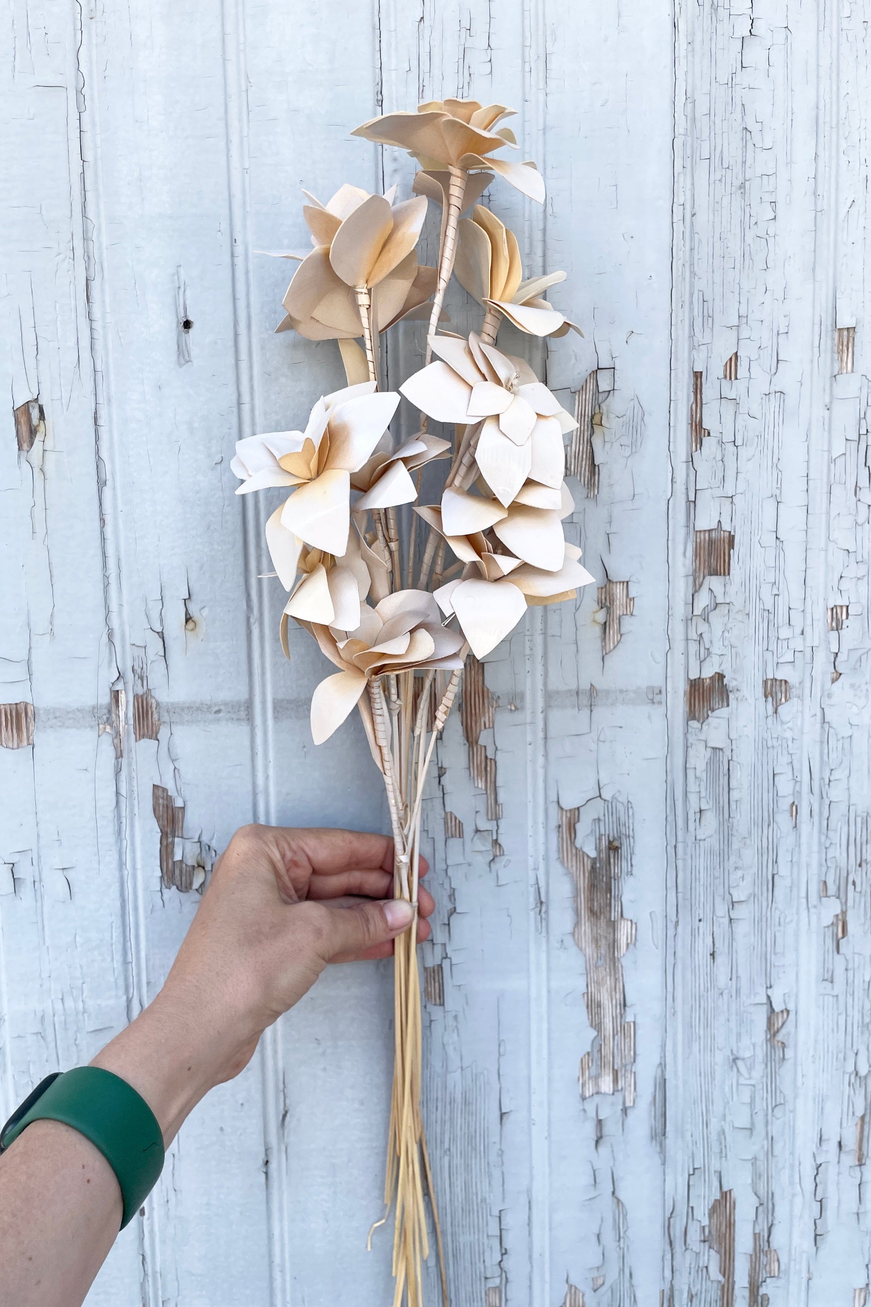 Bleached Pastel Tari bunch being held against a gray wood wall ©Sprout Home