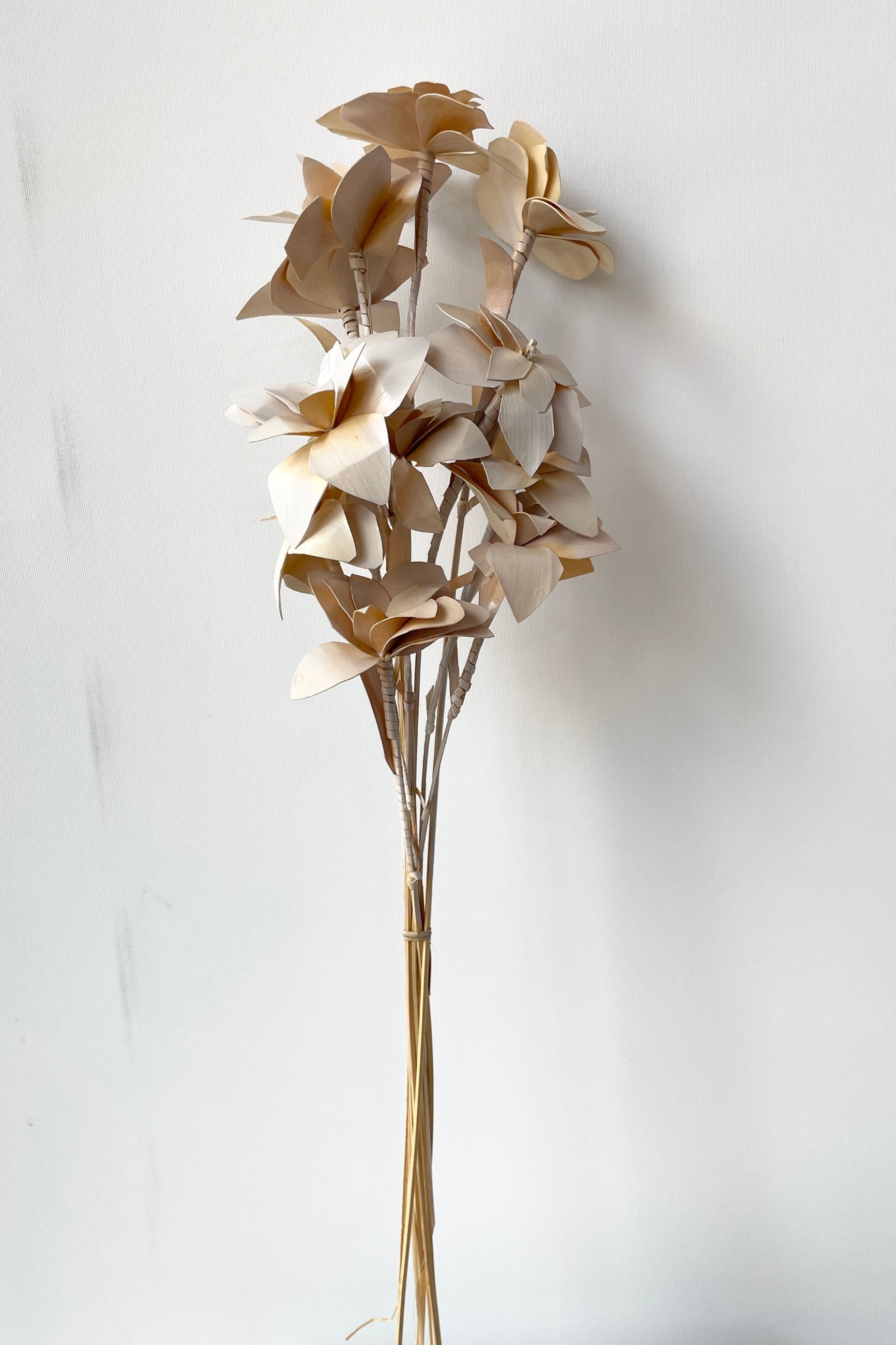 Bleached pastel Tari bunch being held against a white backdrop. ©Sprout Home