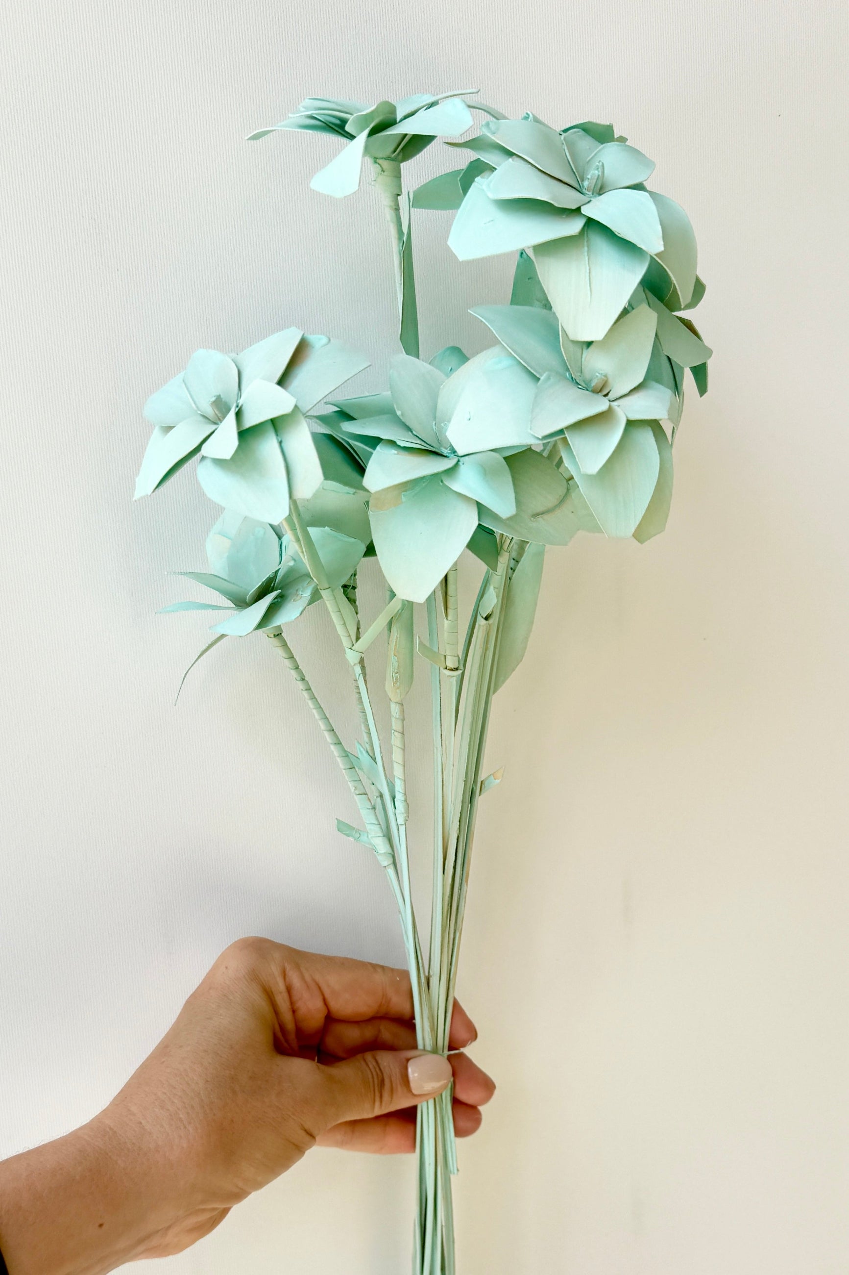 Mint Tari bunch being held in hand against a white wall ©Sprout Home