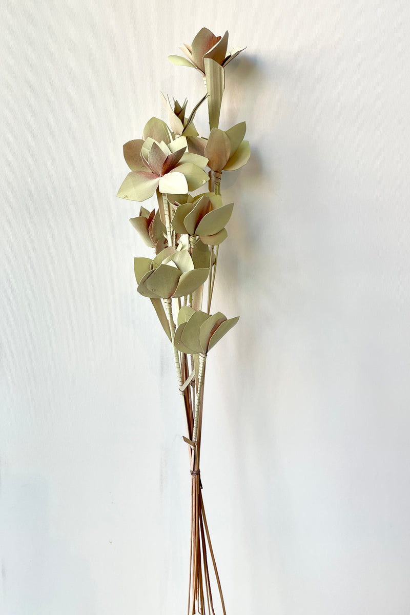 A bunch of Tari mint pastel preserved flowers at Sprout Home against a white wall. 