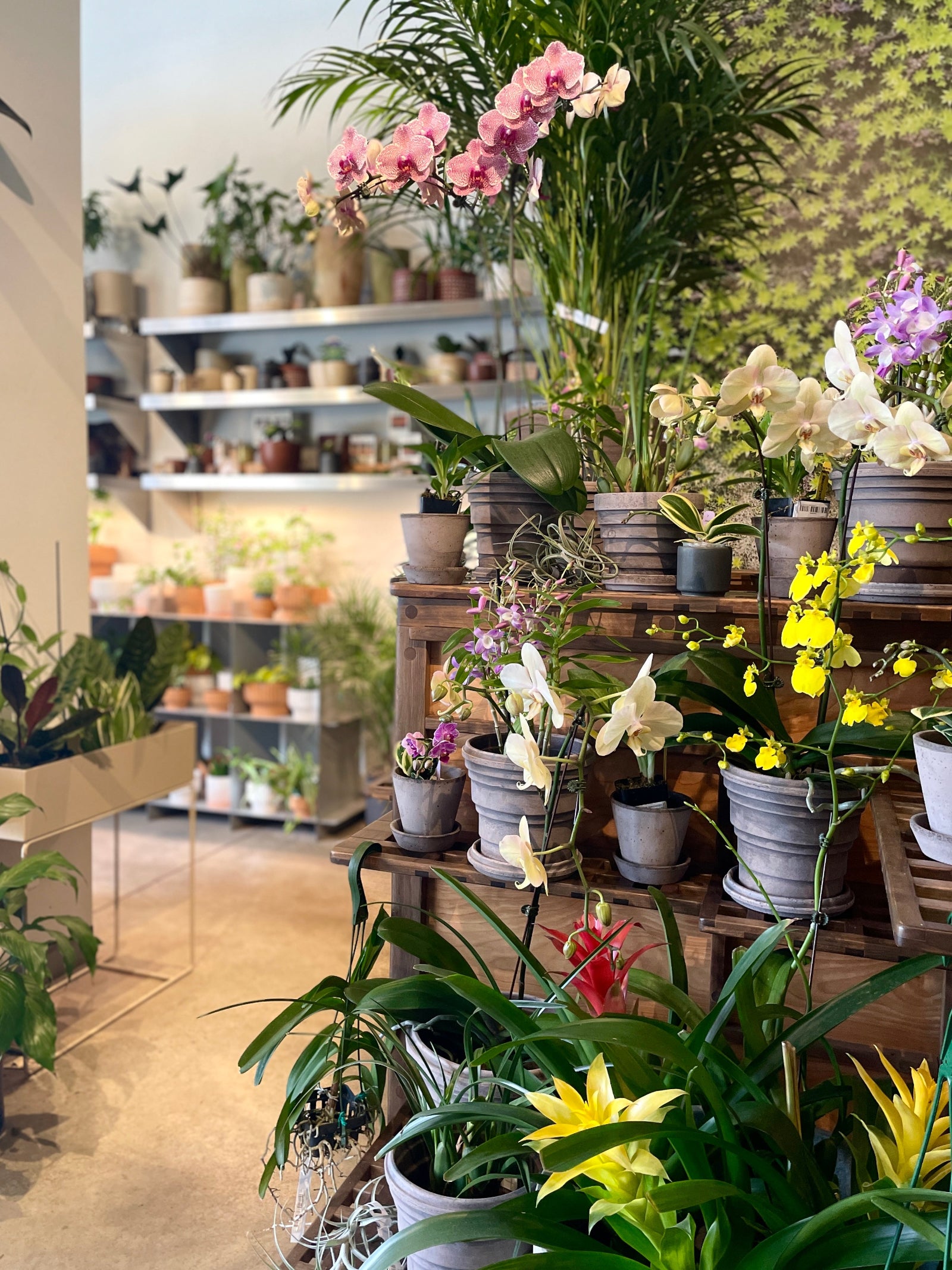 Interior of the interior garden at Sprout Home featuring an orchid nook ©Sprout Home