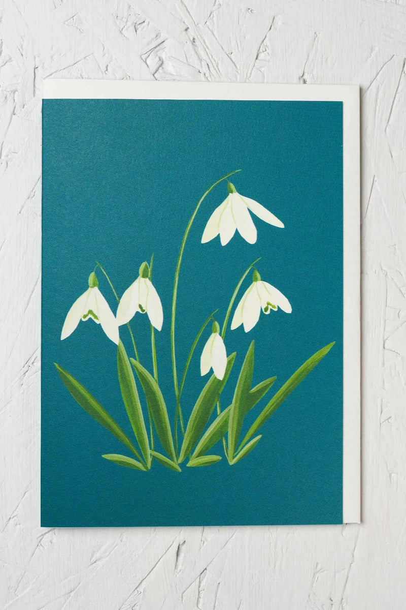 Snowdrops card by Stengun Drawings viewed from the front with the nodding flower.