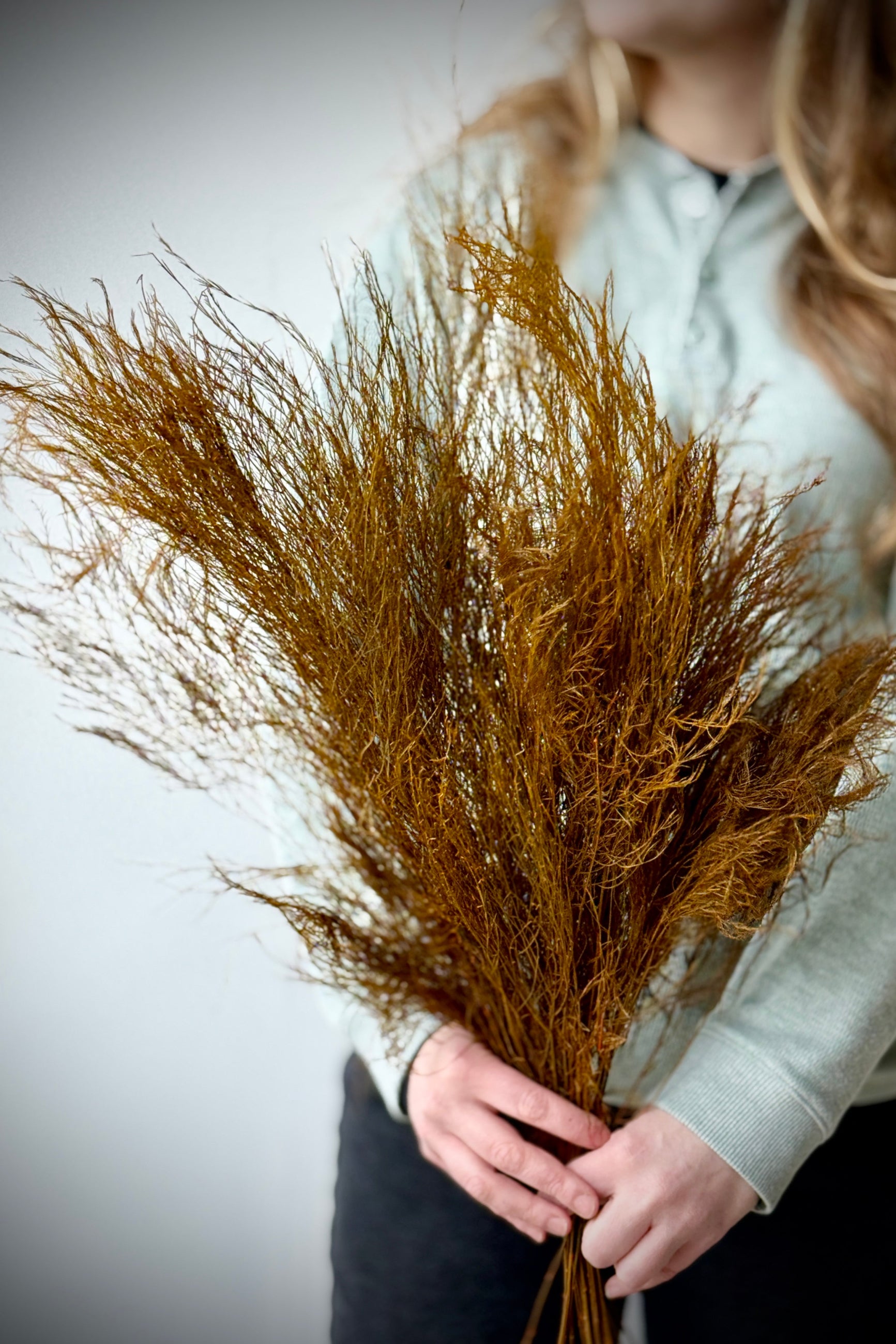 Person holding a bundle of dried dyed brown fern against a neutral background ©Sprout Home