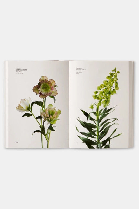 Open Flower Color Guide showing images of flowers on a white background ©Phaidon