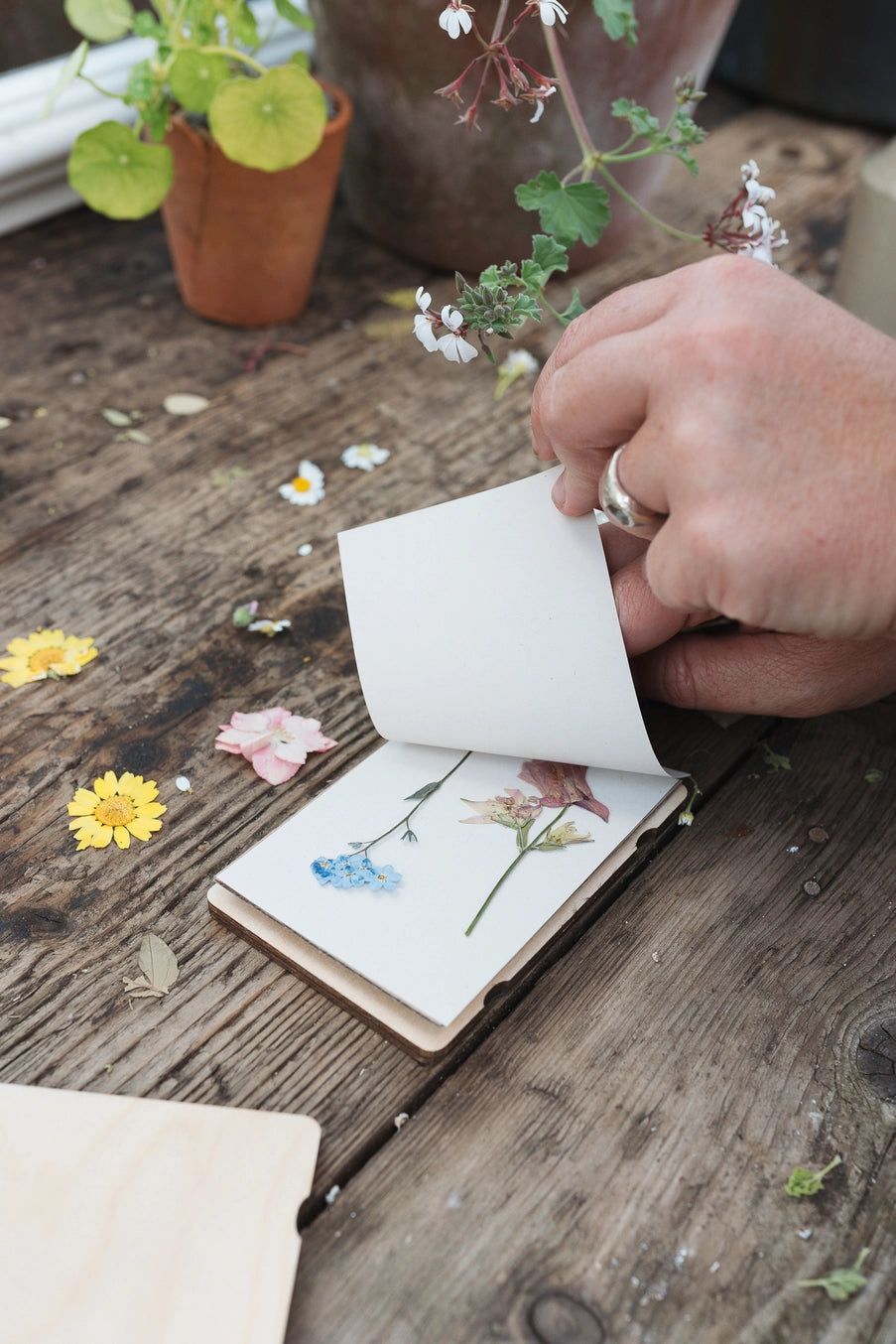 Person holding a small open flower press book with pressed flowers on a wooden surface. ©Studio Wald