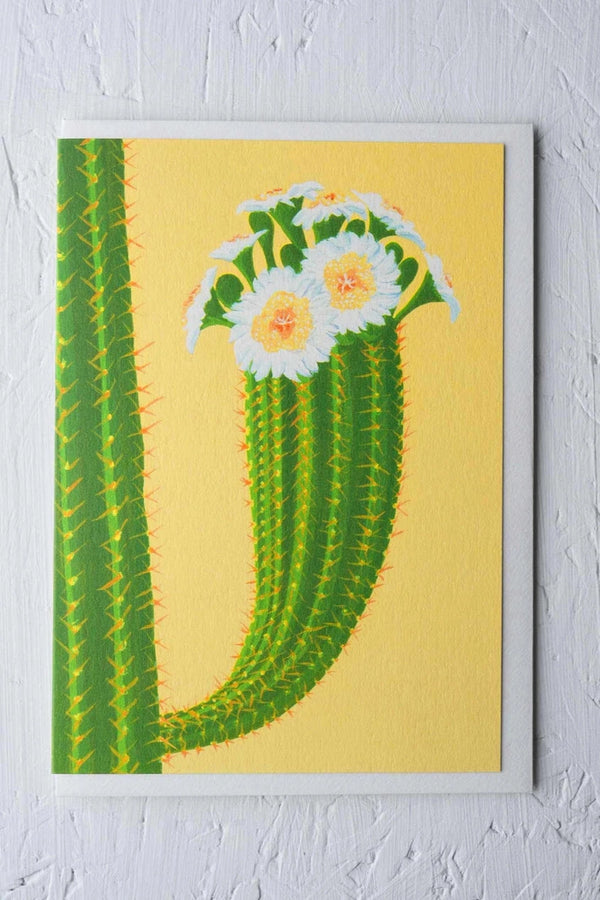 Cactus on Yellow card by Stengun Drawings  on white.