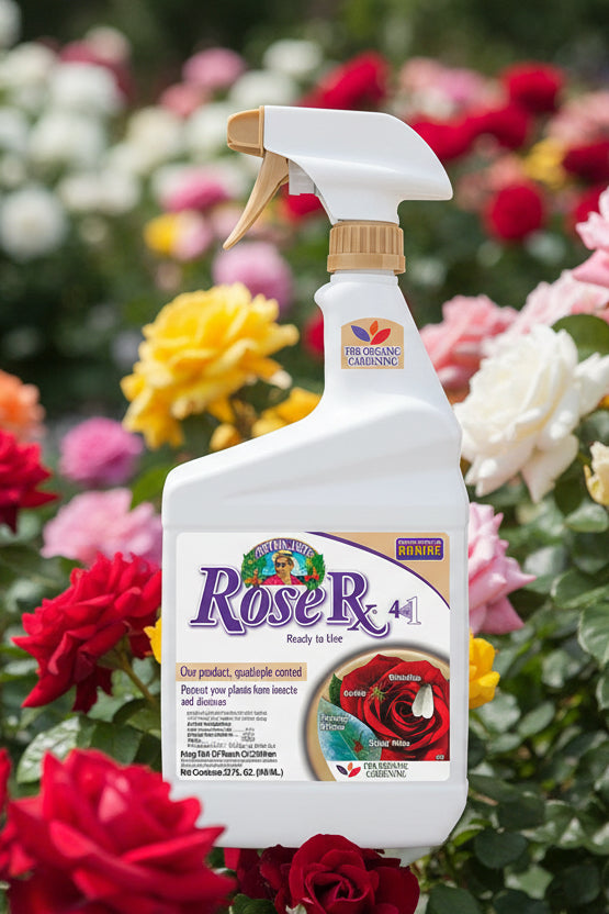 Rose insecticide spray bottle with a white label featuring a rose image on a white background ©Sprout Home