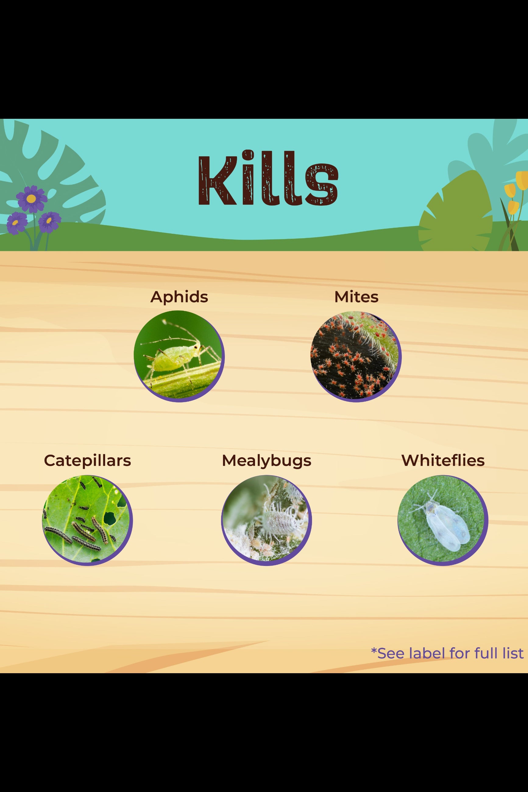 Diagram showing pests that a product kills with a natural background ©Bonide